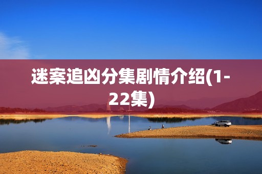 迷案追凶分集剧情介绍(1-22集)