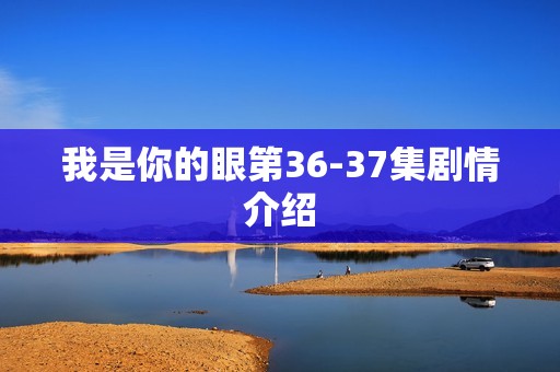 我是你的眼第36-37集剧情介绍