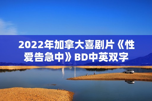 2022年加拿大喜剧片《性爱告急中》BD中英双字