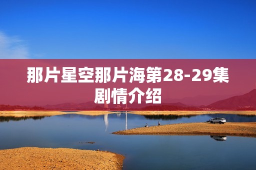 那片星空那片海第28-29集剧情介绍