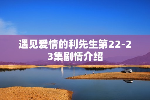 遇见爱情的利先生第22-23集剧情介绍