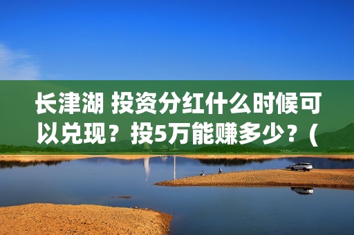 长津湖 投资分红什么时候可以兑现？投5万能赚多少？(长津湖投资额)