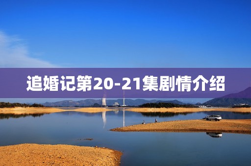 追婚记第20-21集剧情介绍