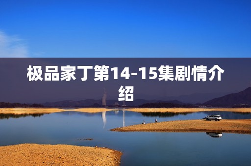 极品家丁第14-15集剧情介绍