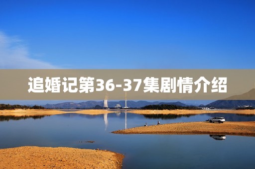 追婚记第36-37集剧情介绍