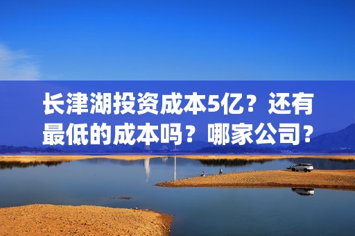 长津湖投资成本5亿？还有最低的成本吗？哪家公司？(长津湖 投资成本)