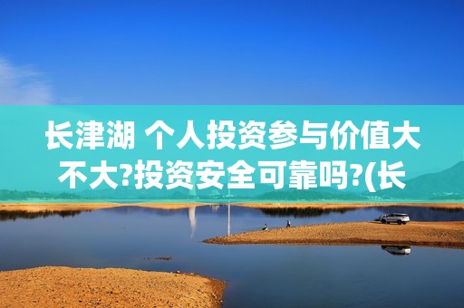 长津湖 个人投资参与价值大不大?投资安全可靠吗?(长津湖投入)