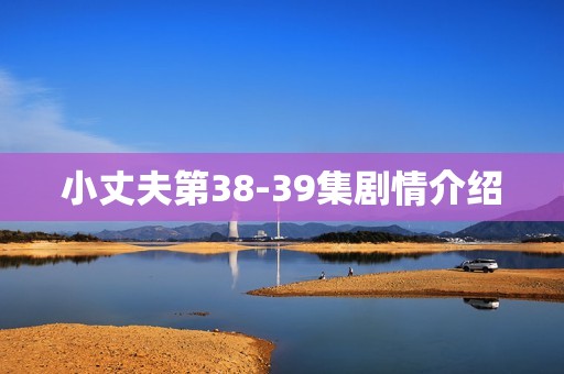 小丈夫第38-39集剧情介绍