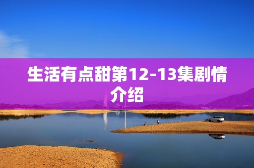 生活有点甜第12-13集剧情介绍