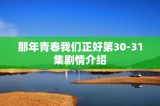 那年青春我们正好第30-31集剧情介绍