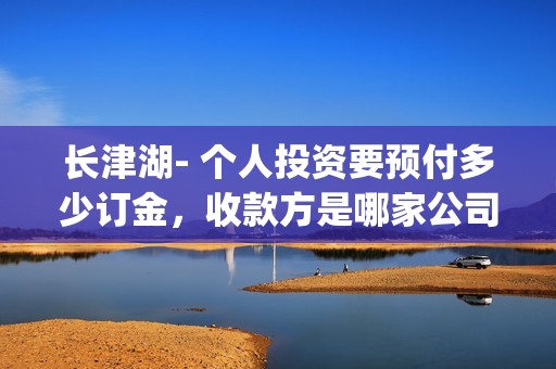 长津湖- 个人投资要预付多少订金，收款方是哪家公司？(长津湖详情)