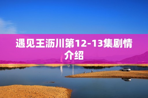 遇见王沥川第12-13集剧情介绍