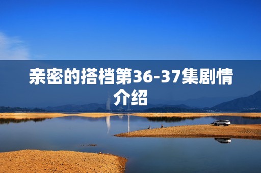 亲密的搭档第36-37集剧情介绍