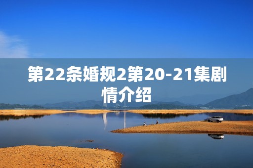 第22条婚规2第20-21集剧情介绍