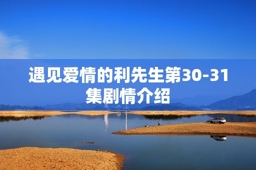 遇见爱情的利先生第30-31集剧情介绍
