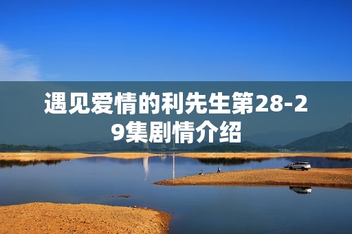 遇见爱情的利先生第28-29集剧情介绍