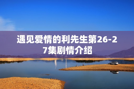 遇见爱情的利先生第26-27集剧情介绍
