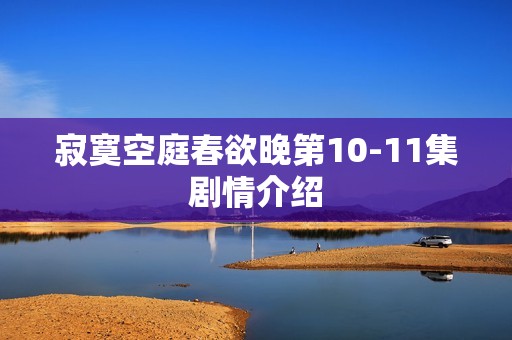 寂寞空庭春欲晚第10-11集剧情介绍