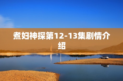 煮妇神探第12-13集剧情介绍