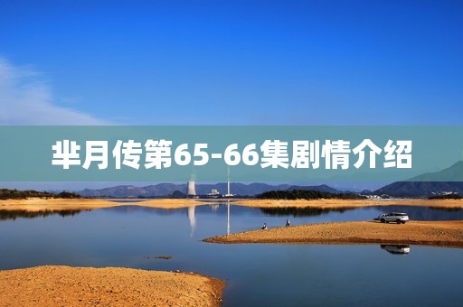 芈月传第65-66集剧情介绍
