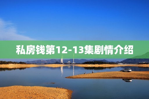 私房钱第12-13集剧情介绍