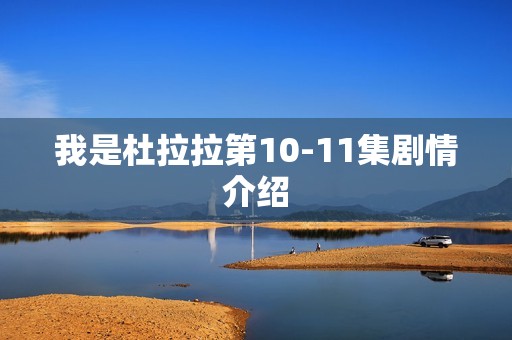 我是杜拉拉第10-11集剧情介绍