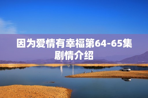 因为爱情有幸福第64-65集剧情介绍