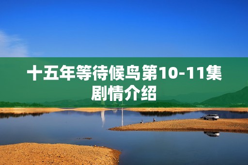 十五年等待候鸟第10-11集剧情介绍