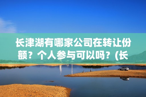 长津湖有哪家公司在转让份额？个人参与可以吗？(长津湖地址在哪)