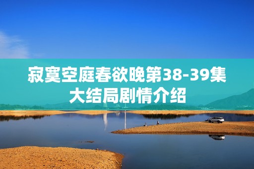 寂寞空庭春欲晚第38-39集大结局剧情介绍
