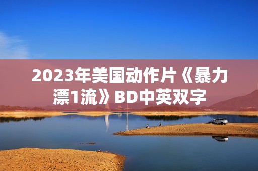 2023年美国动作片《暴力漂1流》BD中英双字
