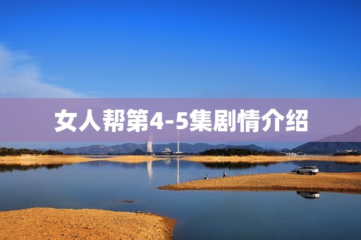 女人帮第4-5集剧情介绍