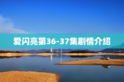 爱闪亮第36-37集剧情介绍
