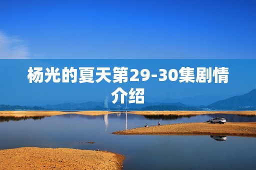 杨光的夏天第29-30集剧情介绍