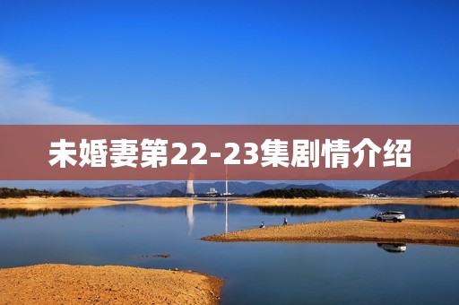 未婚妻第22-23集剧情介绍