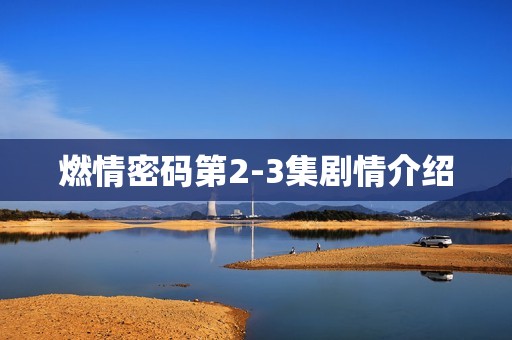 燃情密码第2-3集剧情介绍