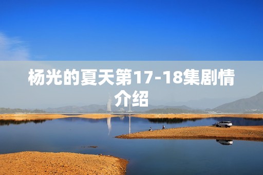 杨光的夏天第17-18集剧情介绍