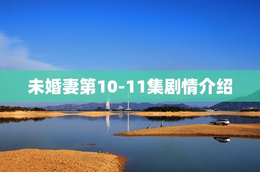 未婚妻第10-11集剧情介绍