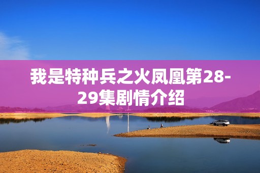 我是特种兵之火凤凰第28-29集剧情介绍