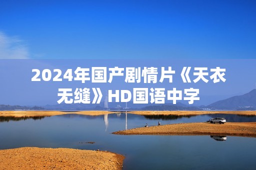 2024年国产剧情片《天衣无缝》HD国语中字
