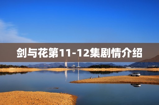 剑与花第11-12集剧情介绍
