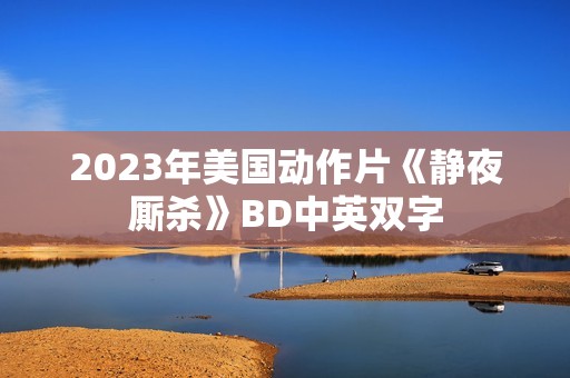 2023年美国动作片《静夜厮杀》BD中英双字