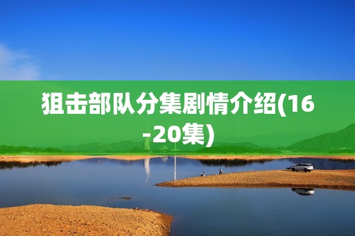 狙击部队分集剧情介绍(16-20集)