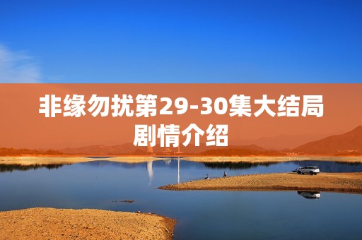 非缘勿扰第29-30集大结局剧情介绍