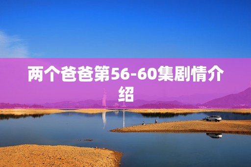 两个爸爸第56-60集剧情介绍