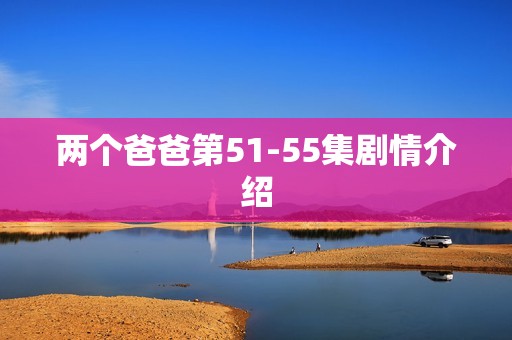 两个爸爸第51-55集剧情介绍