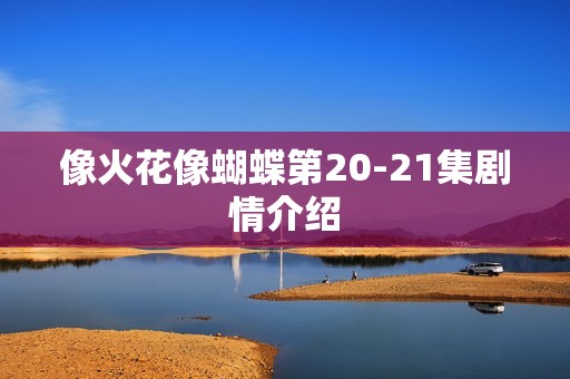 像火花像蝴蝶第20-21集剧情介绍
