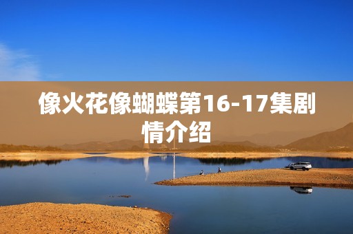 像火花像蝴蝶第16-17集剧情介绍