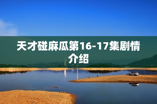 天才碰麻瓜第16-17集剧情介绍