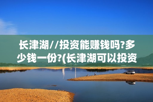 长津湖//投资能赚钱吗?多少钱一份?(长津湖可以投资吗)